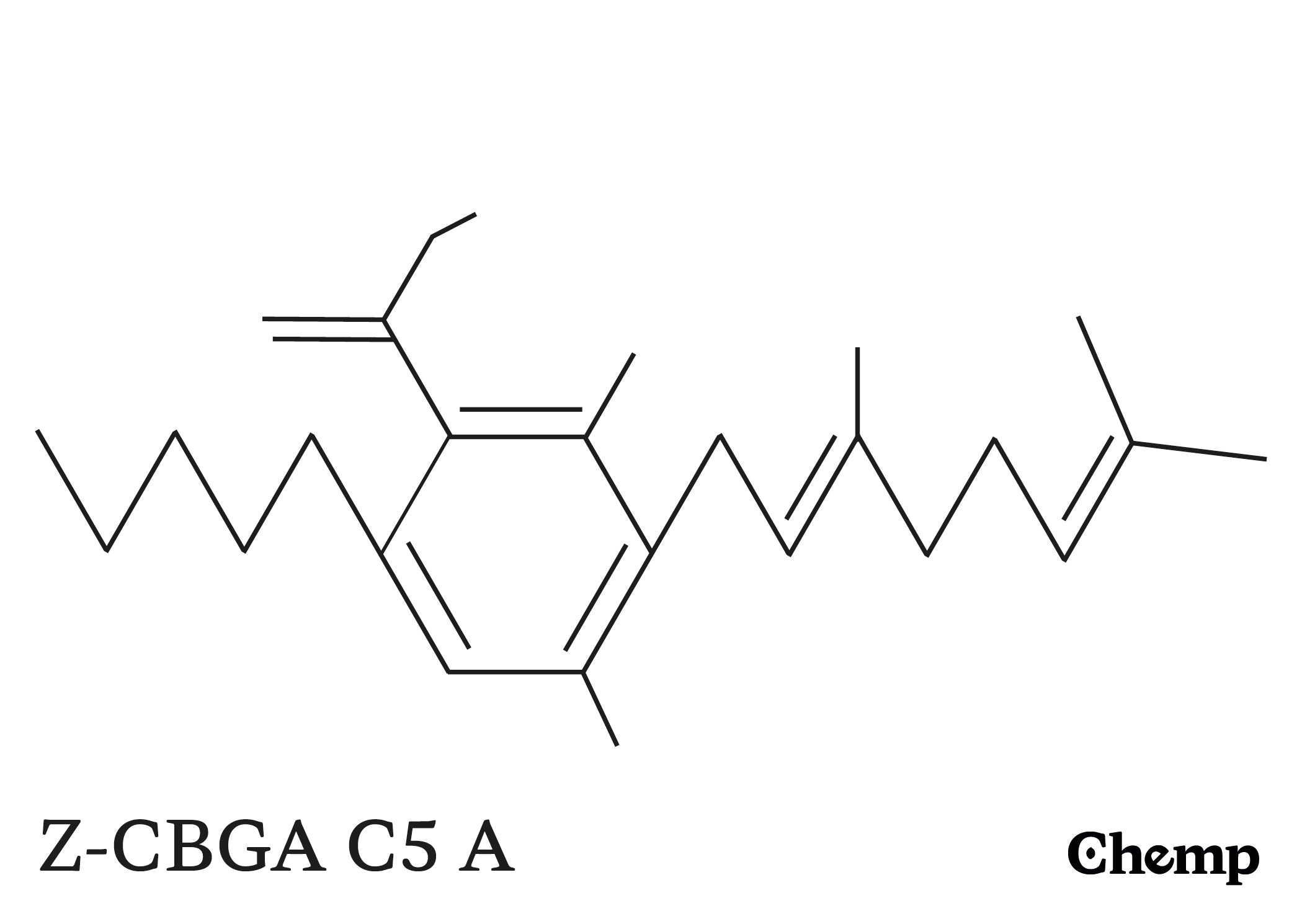 CBGA-C5 Struktur