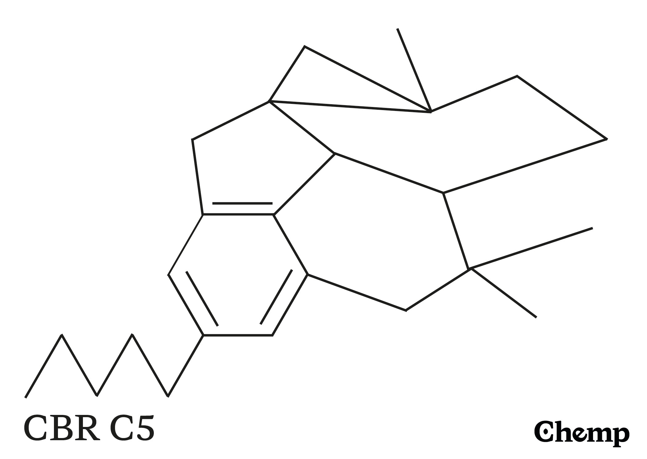CBR C5 Struktur