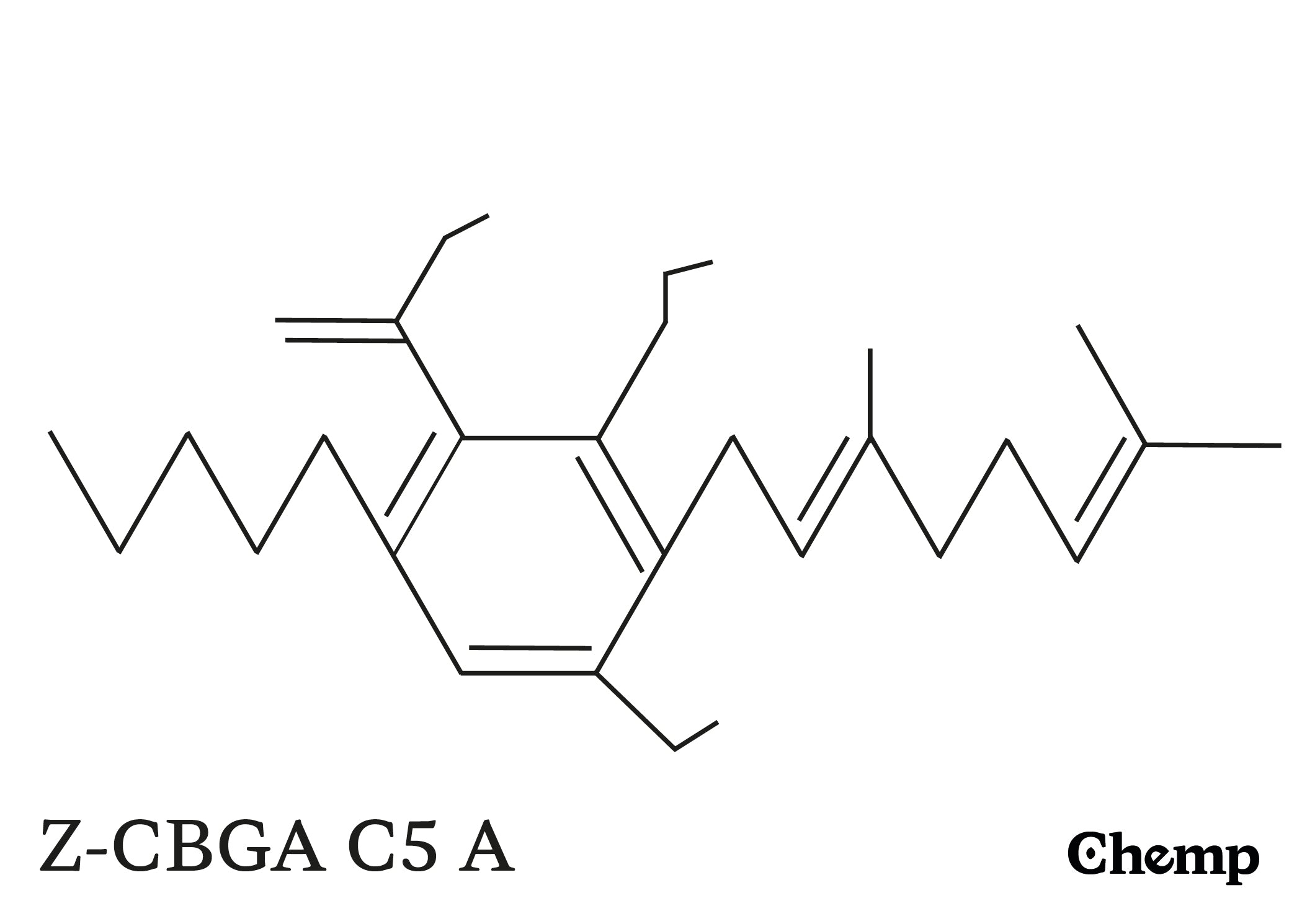 Z-CBGA C5 A Struktur