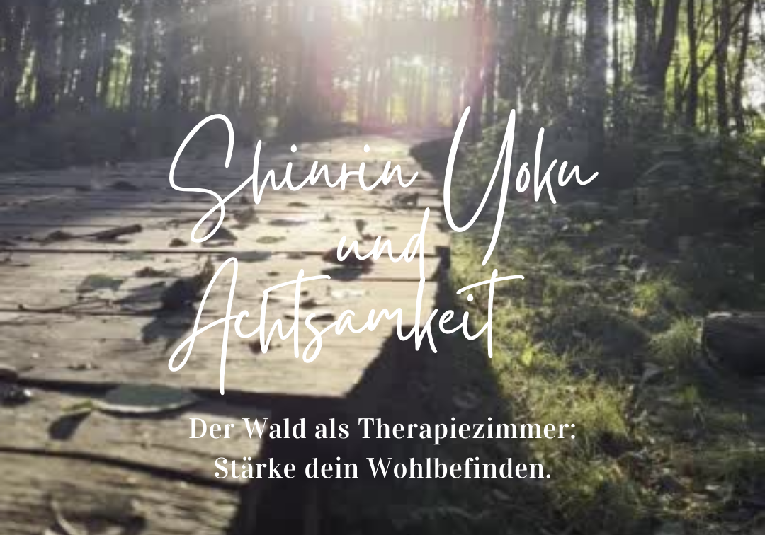 Steg im Wald im Sonnenaufgang